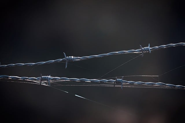 La prison de Haren sous tension : Le personnel en grève pour alerter sur des conditions insoutenables