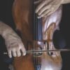 Le Concours Reine Élisabeth met le violoncelle à l’honneur, sans représentant belge cette année