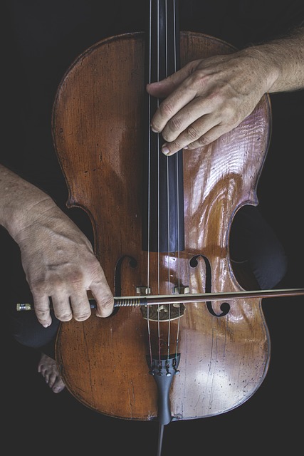 Le Concours Reine Élisabeth met le violoncelle à l’honneur, sans représentant belge cette année