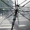 Météo en Belgique : Entre éclaircies matinales et averses printanières, préparez votre parapluie !