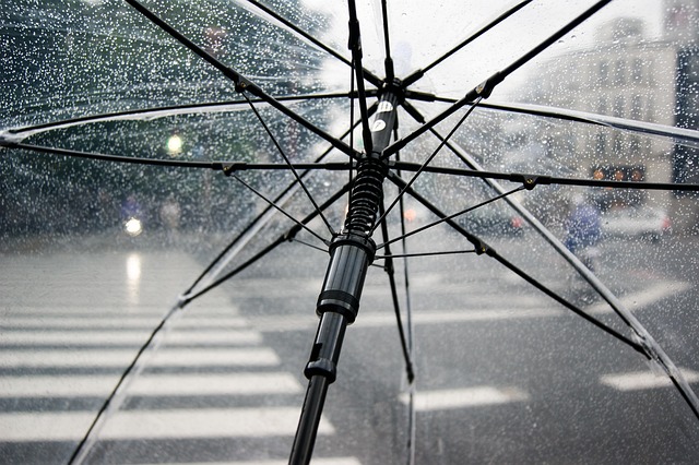 Météo en Belgique : Entre éclaircies matinales et averses printanières, préparez votre parapluie !