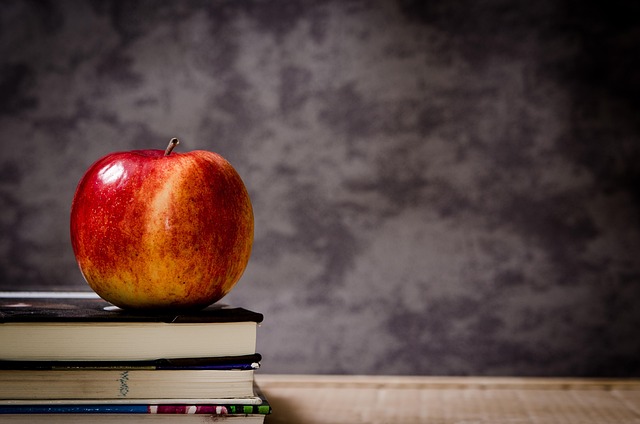 Crise à l'École Léon Mignon : La grève pour défendre l'avenir de nos étudiants !