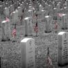 Nathalie Mistiaen, la sentinelle de nos libertés au cimetière des Ardennes