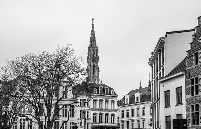 La Roche : Quand les chiffres passent, mais que les esprits s'échauffent au conseil !