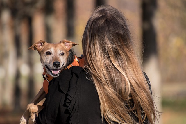 Crisnée : Le Dog Day fait japper de joie les amis des bêtes pour sa 2e édition !