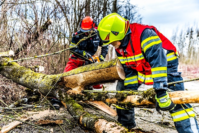 Orages à Bruxelles : un week-end sous haute tension pour les pompiers