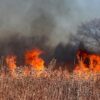 Hautes Fagnes : un brasier historique mobilise des centaines de secours