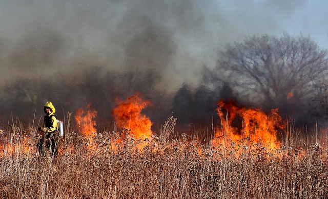 Hautes Fagnes : un brasier historique mobilise des centaines de secours