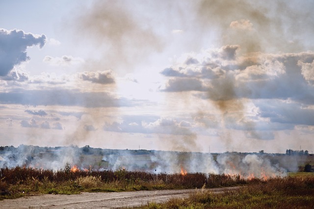 Florenville : un incendie suspect ravage la Ferme des Roses